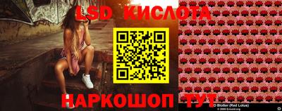 прущие грибы Малгобек