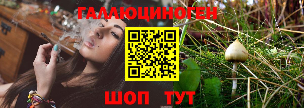 Тольятти  Псилоцибиновые грибы Cubensis  Вход с VPN 
